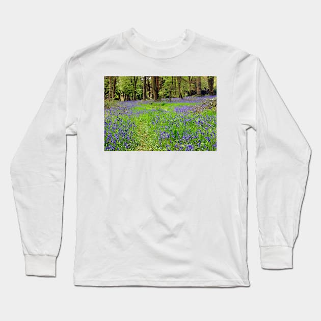 Bluebell Woods Basildon Park Berkshire UK Long Sleeve T-Shirt by AndyEvansPhotos